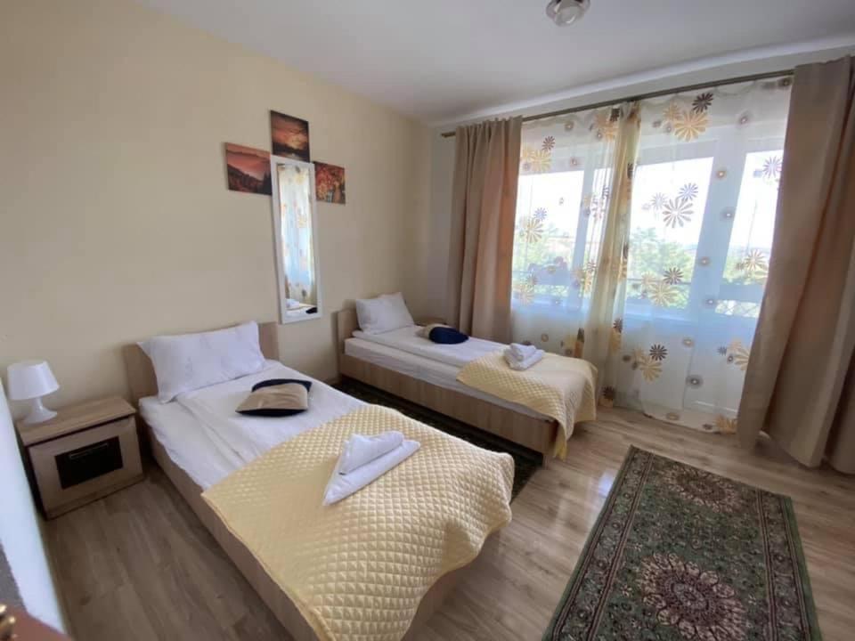 Guest House Zoreni Mociu Εξωτερικό φωτογραφία
